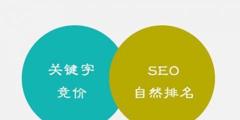 SEO搜索引擎优化方案（如何让你的网站在搜索引擎中获得更好的排名）
