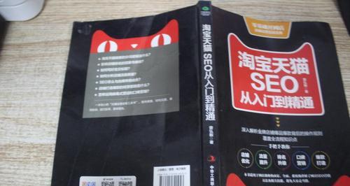 SEO入门到精通，10个技巧掌握不误（打造网站流量，优化搜索引擎排名）