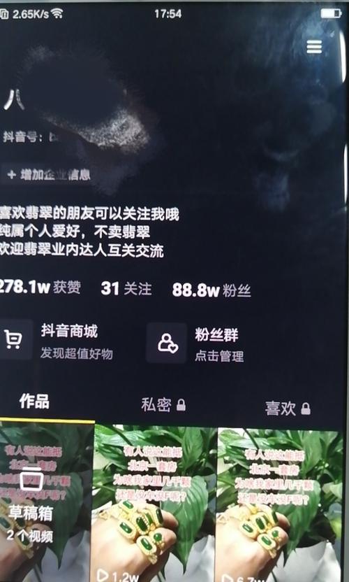 如何选择适合在抖音上推广的行业？（从盈利性、流行度、观众群体等多方面考虑）