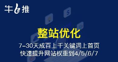 SEO优化提高网站流量和订单的实用技巧（掌握这些技巧，让你的网站轻松上新高峰）