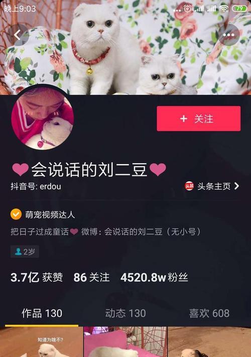 如何撰写抖音橱窗上架商品标题，提升卖家展示效果（教你如何用有吸引力的方式让橱窗上架商品脱颖而出）