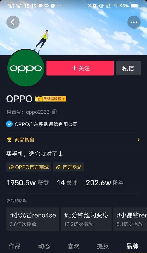 抖音点亮蓝v需要多少钱（了解抖音认证规则）