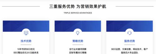 如何诊断网站并制定SEO计划（掌握网站推广公司的技巧）