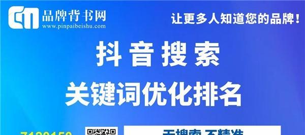 如何提高搜索排名技巧（掌握优化技巧）
