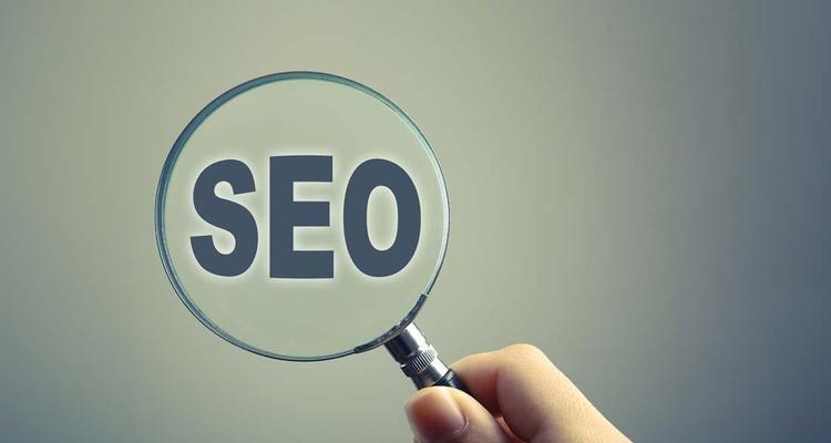 SEO优化（掌握优化技巧）