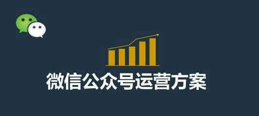 百度排名刷法大揭秘（从SEO优化到黑帽技术）