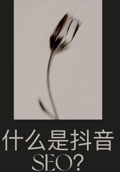 抖音SEO全面解析，教你轻松上手（了解抖音SEO的重要性）