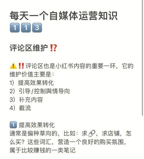 小红书的吸粉秘籍（揭秘小红书的营销策略）