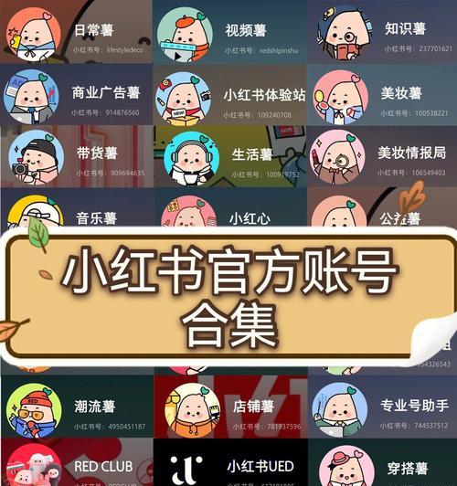 小红书浏览记录查询方法详解（快速查询你的小红书浏览记录）