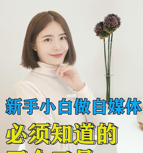 自媒体批量发布工具（一键发布）