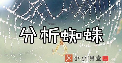 网页代码优化技巧有哪些？如何提高搜索引擎蜘蛛抓取效率？