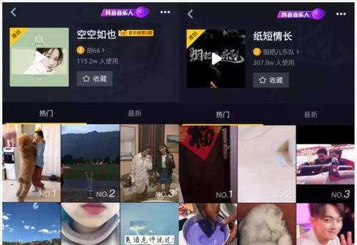 如何在抖音电商平台上进行盗图投诉？使用指南是什么？