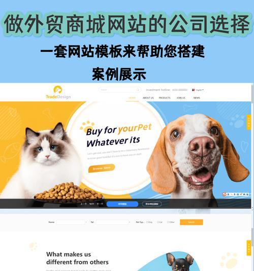 如何进行专业网站设计制作？