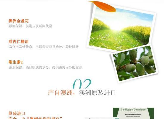 金花关键词工具的使用方法是什么？如何提高关键词排名？