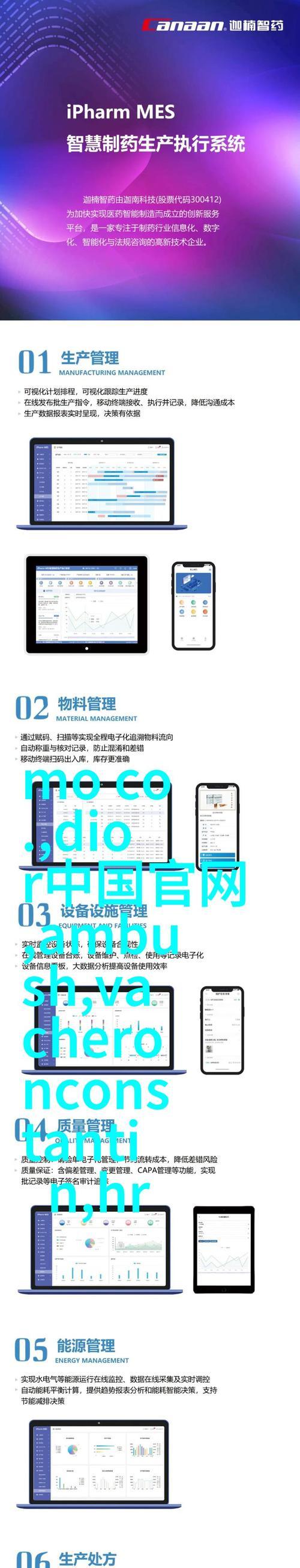手机网站关键词排名如何提升？有哪些策略可以实施？