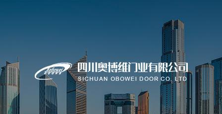 快照排名优化公司如何提升网站SEO效果？常见问题有哪些？