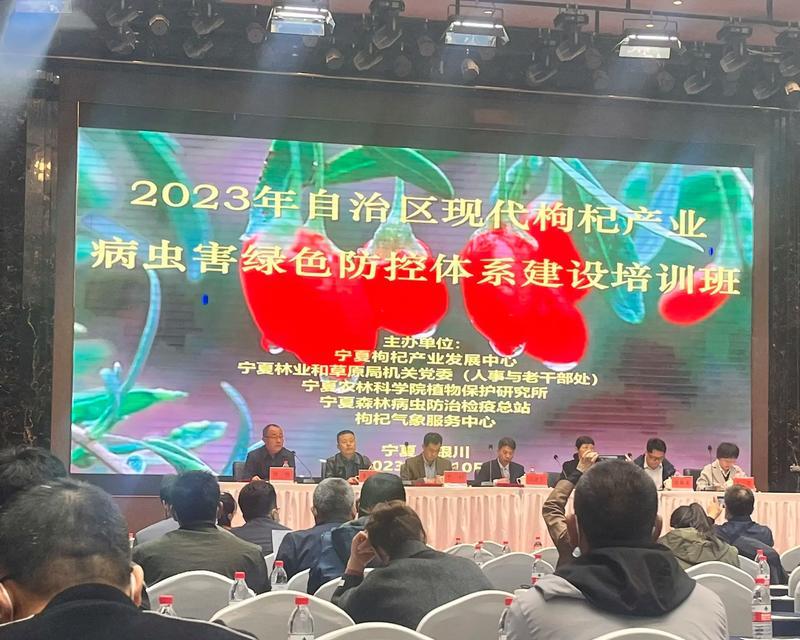 如何优化新老网站的首页排名？首页排名提升有哪些策略？