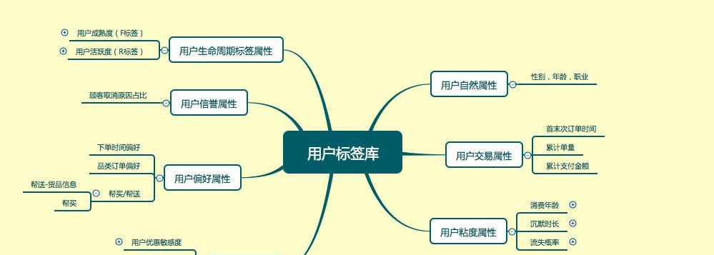 SEO案例分析：如何通过实际案例提升网站排名？常见问题有哪些？