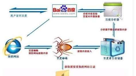 搜索引擎优化排名5种知识点是什么？如何有效应用？