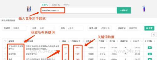 如何快速摆脱SEO新手期？掌握哪些技巧能有效提升网站排名？