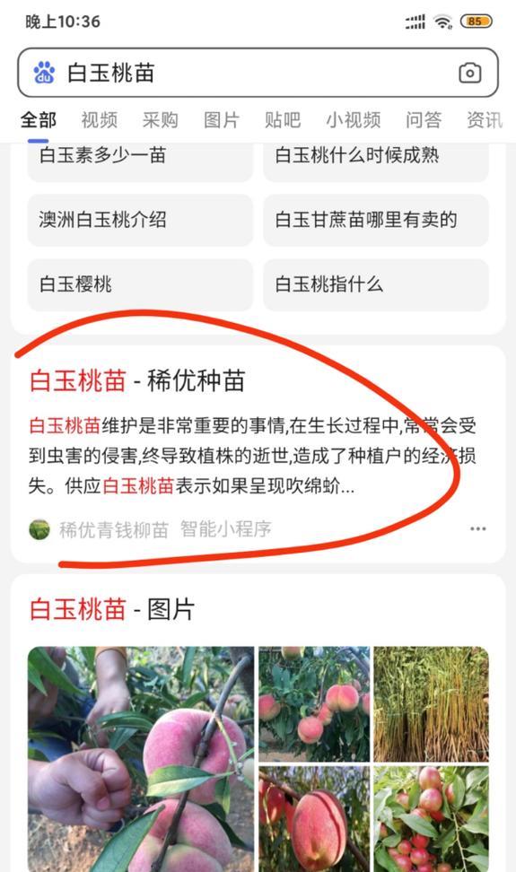 内页被收录很多首页关键词却掉了？如何恢复首页关键词排名？