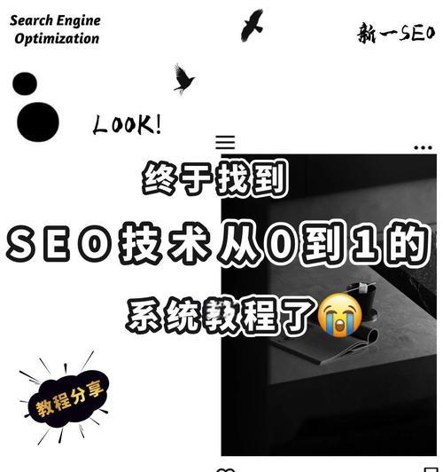 新手如何做好SEO？掌握哪些SEO技巧能快速提升网站排名？