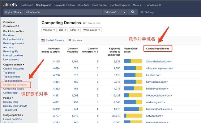 新手如何做好SEO？掌握哪些SEO技巧能快速提升网站排名？