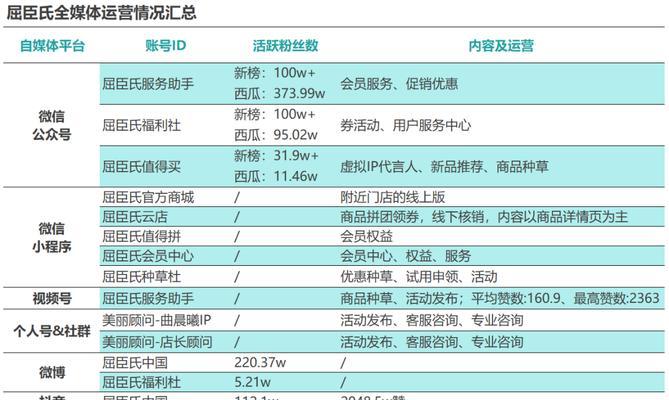 品牌电商经营将要采取什么SEO优化策略？如何提升品牌在线可见度？