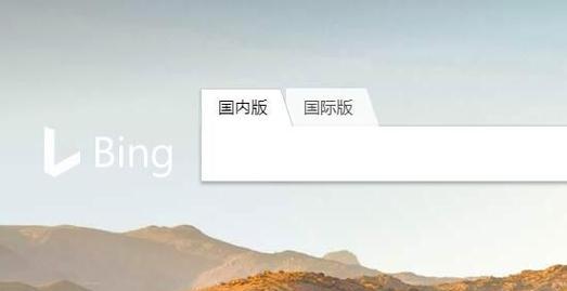 必应搜索引擎格式是什么？如何进行有效的关键词优化？