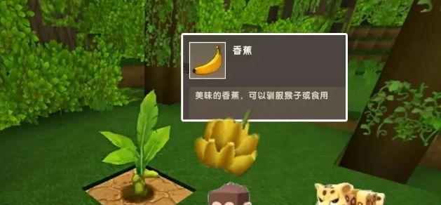 迷你世界高级地图搜索引擎如何使用？它有哪些独特功能？