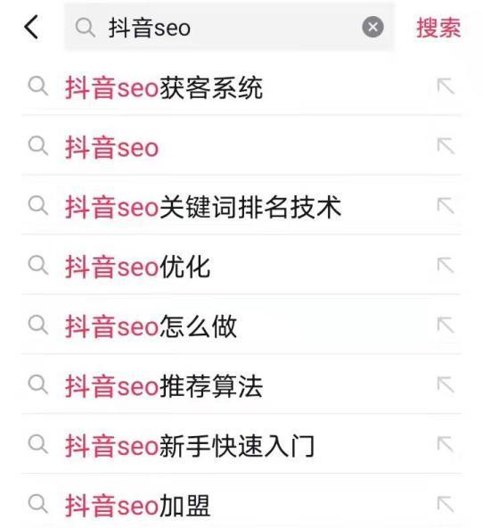 如何提升武清抖音seo排名？