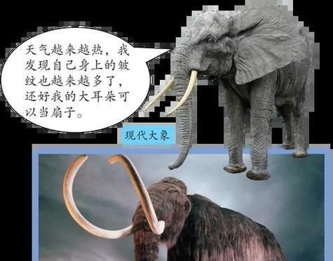 猛犸象搜索引擎有何特点？它是什么？