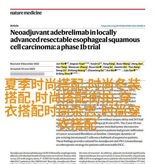 福建如何提高seo排名？有哪些策略？