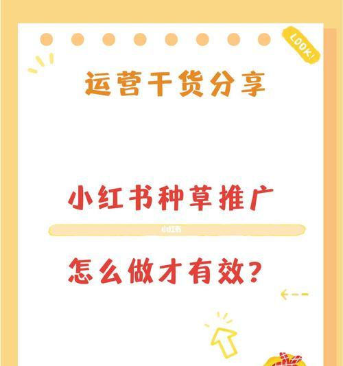 小红书暑假热门关键词怎么写？如何抓住季节性流量？
