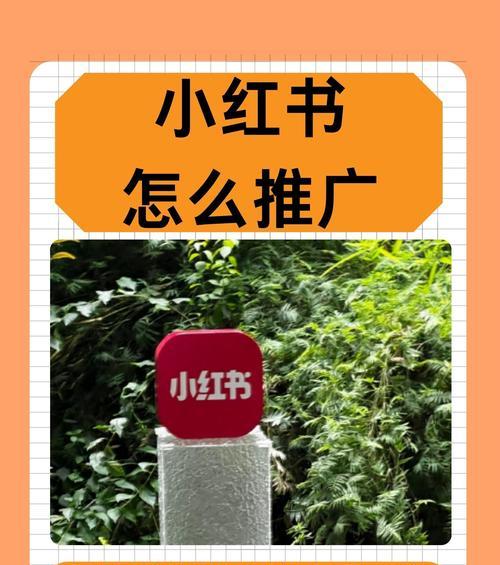 小红书正文内容中应包含哪些关键词？