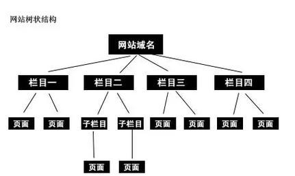 网站优化检测的正确方法是什么？