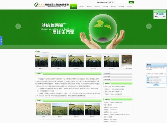 网站优化后多久能见到效果？