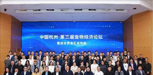 杭州现代网站优化的收费标准是什么？