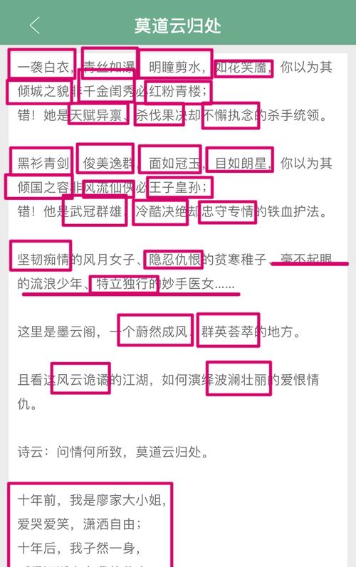 小说网站如何盈利和推广？有哪些有效的推广策略？