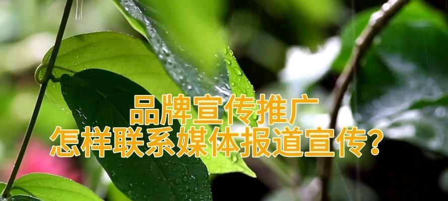 如何推广网站广告语策划？有哪些有效策略和常见问题解答？