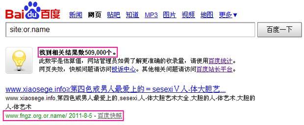 如何优化.net网站关键词？.net网站关键词优化的常见问题有哪些？