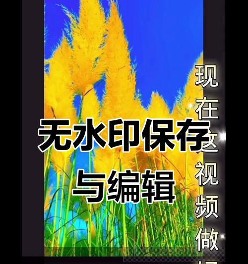 怎么学好剪辑快手视频？掌握这些技巧轻松上手！