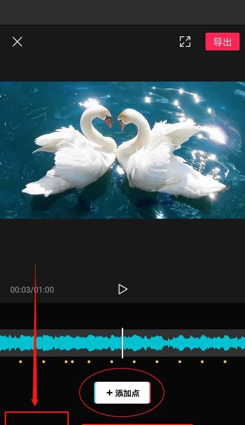 抖音公园剪辑怎么做的视频？视频编辑技巧有哪些？