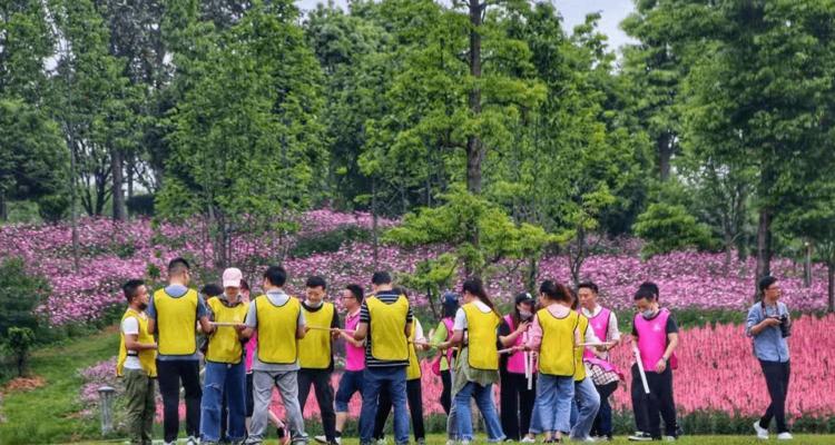 云梦短视频优化公司怎么样？服务质量和优化效果如何？