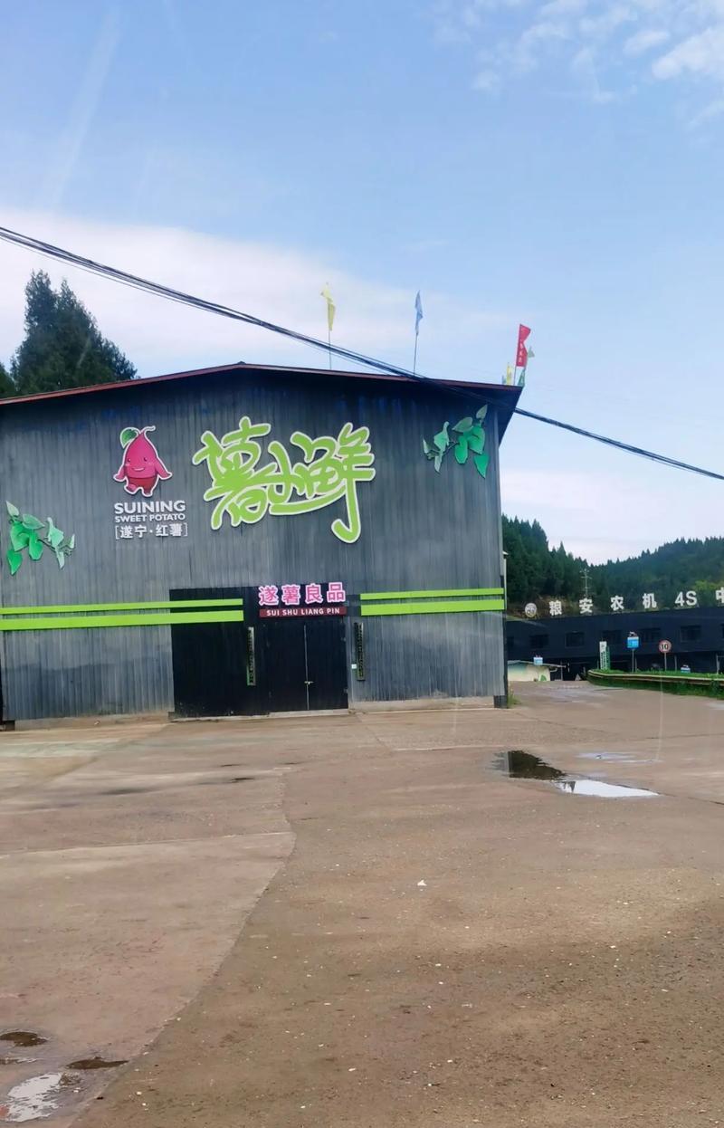 遂宁抖音剪辑套餐怎么样？如何选择合适的视频剪辑服务？