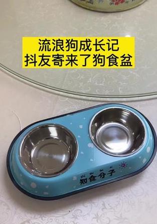 狗子敲盆视频教程在抖音如何剪辑？剪辑技巧有哪些？
