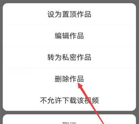 双人快手作品剪辑技巧有哪些？视频编辑常见问题如何解决？