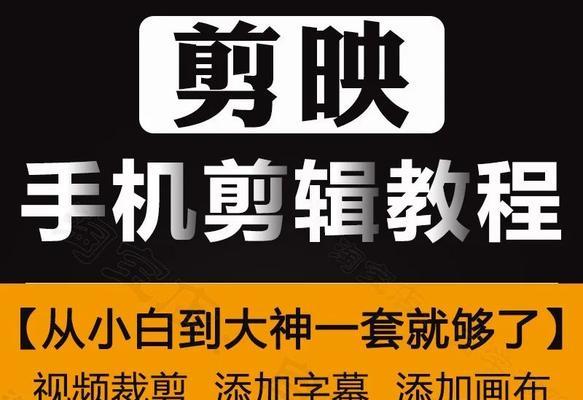 抖音动物视频剪辑教程怎么做？如何快速掌握剪辑技巧？