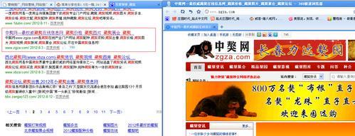 如何在网站做推广赚钱呢？有效策略和常见问题解答？