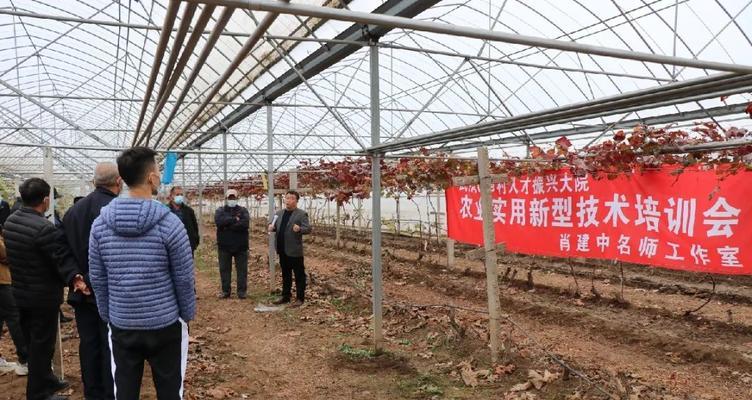 武清区网站推广方法有哪些？如何有效提升网站流量？